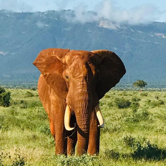 Meet your Posher, Linda - Picture 1 of 1